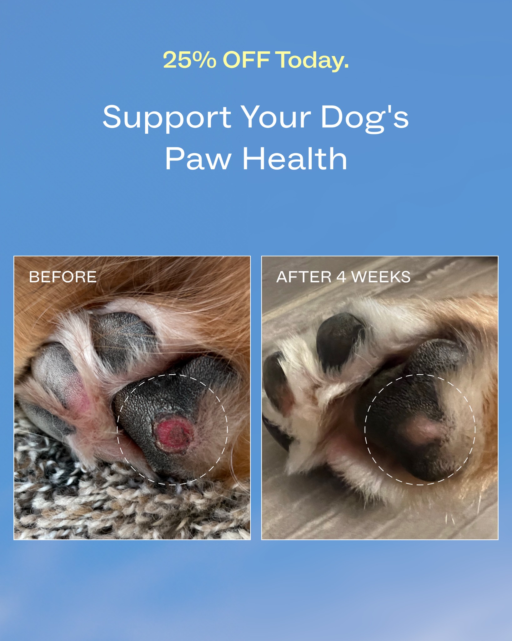 Dog is Human Facebook ad