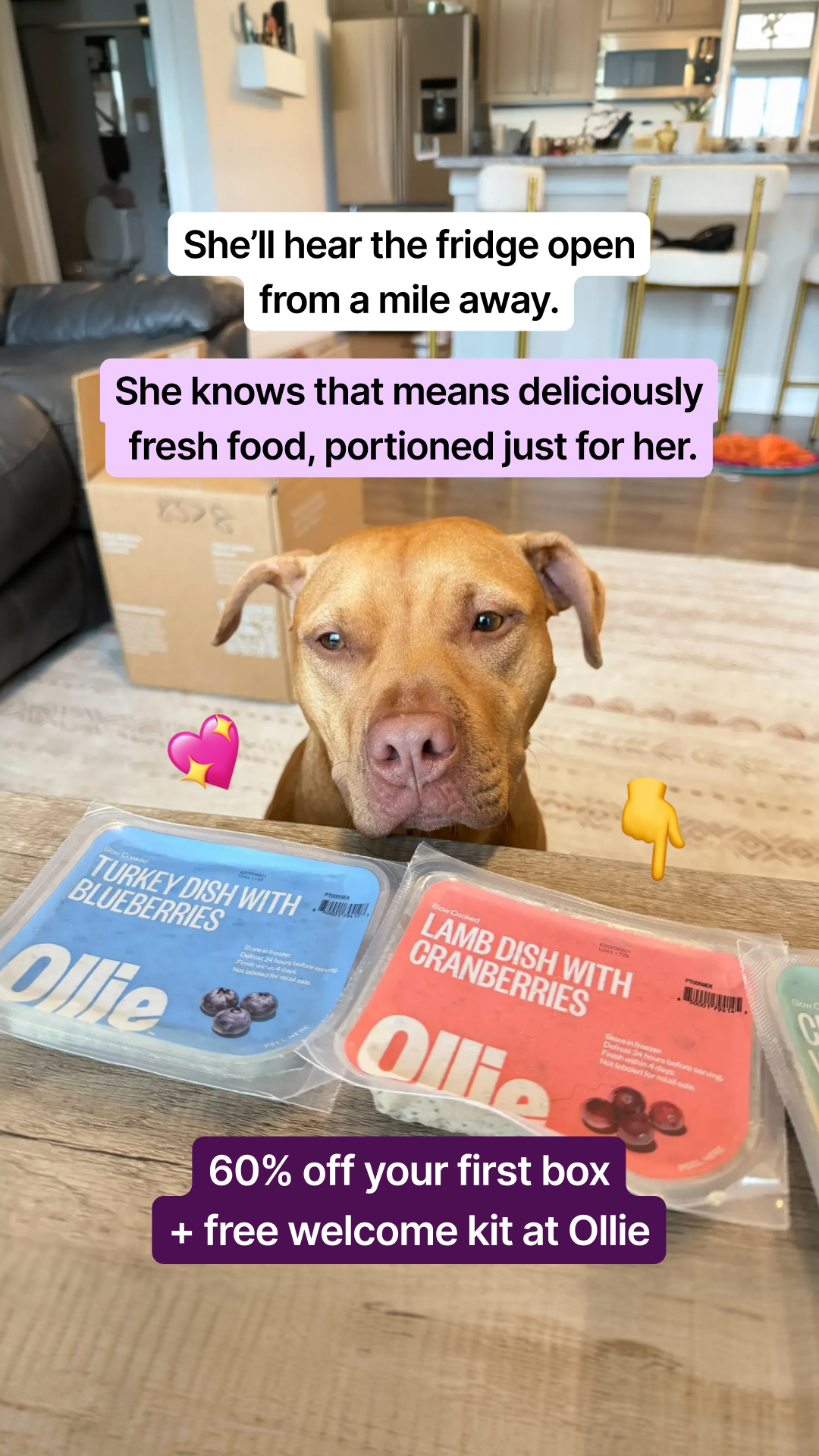 Ruby the Red Nose  Facebook ad
