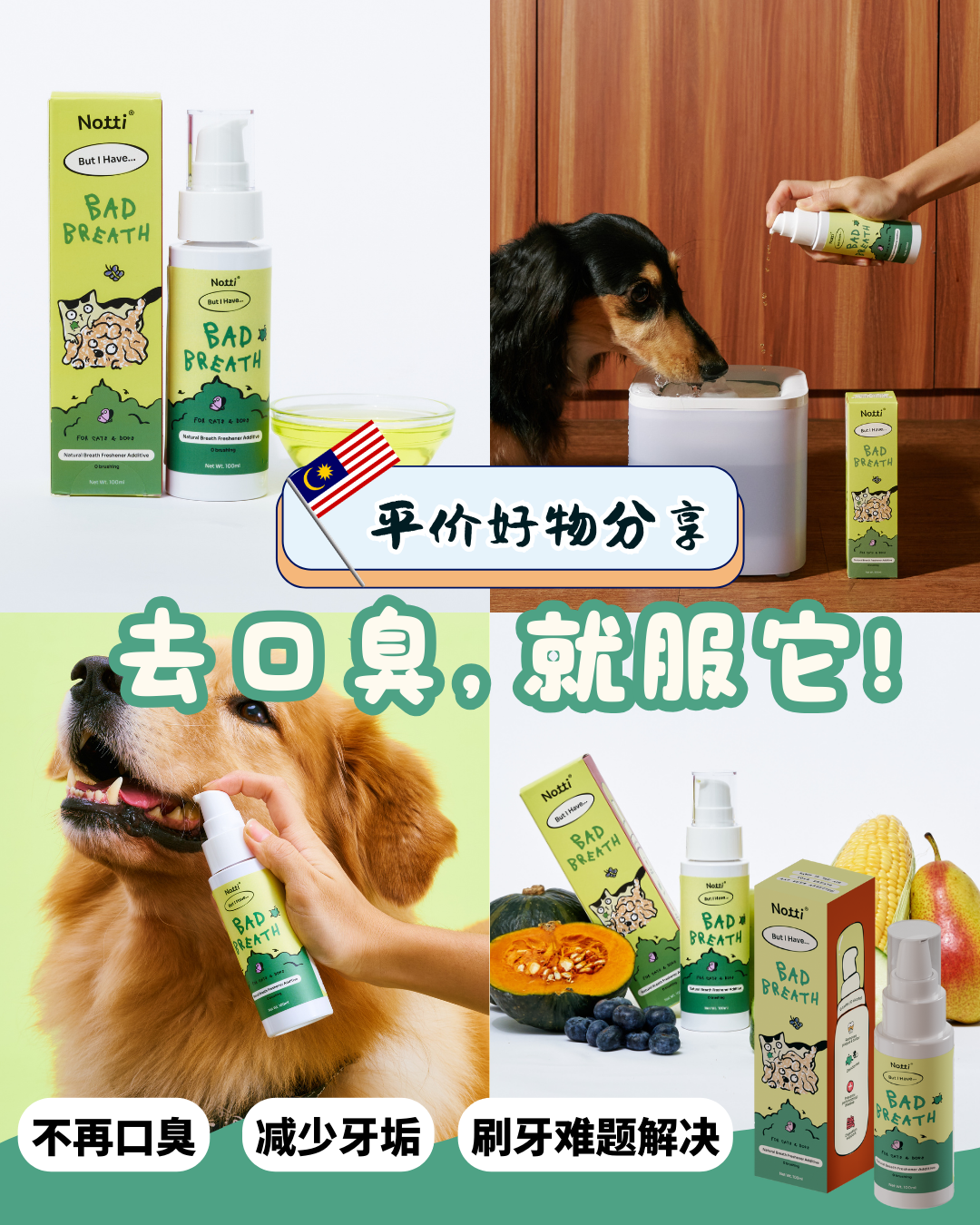 Notti Pet Food Facebook ad
