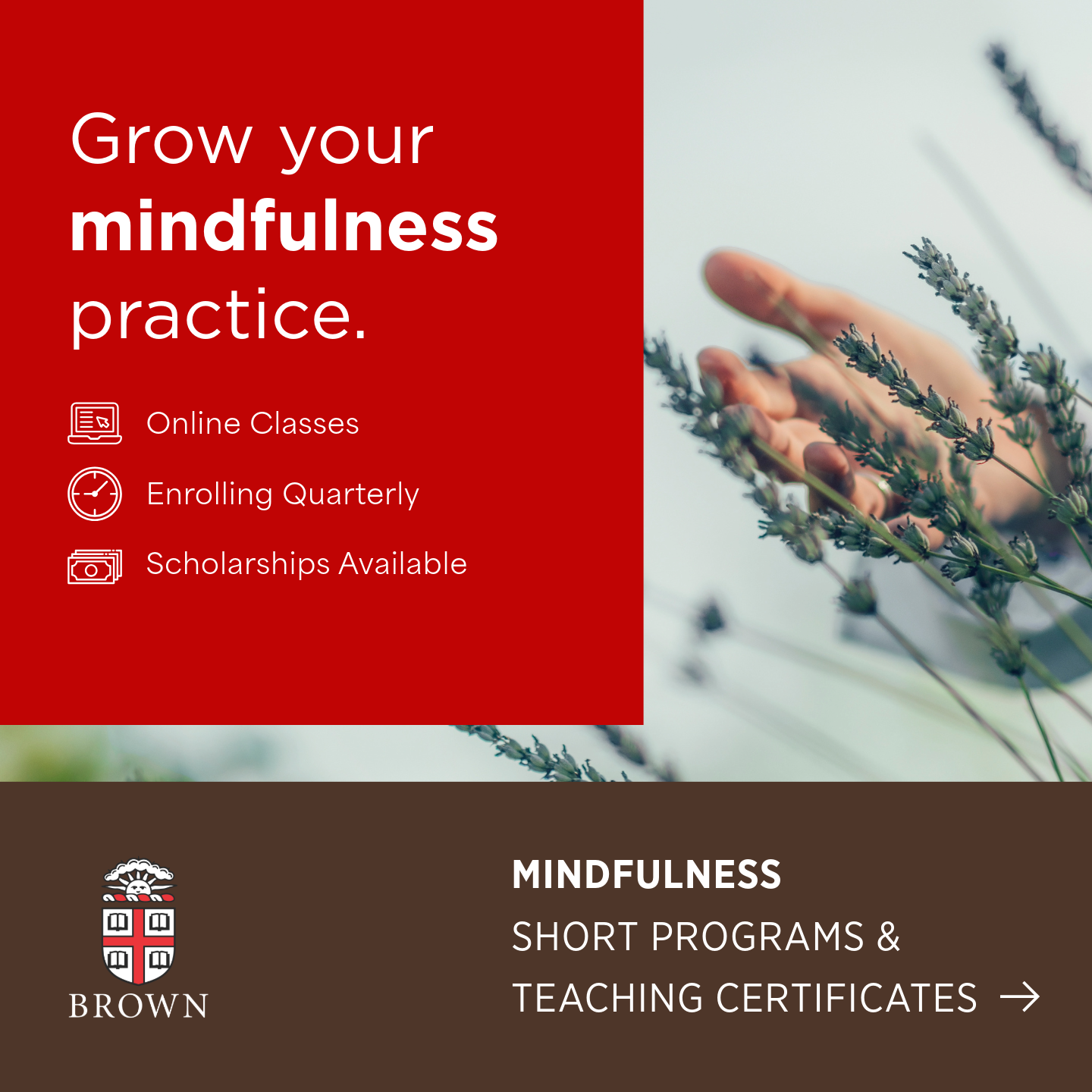 Brown University School of Professional Studies Facebook ad