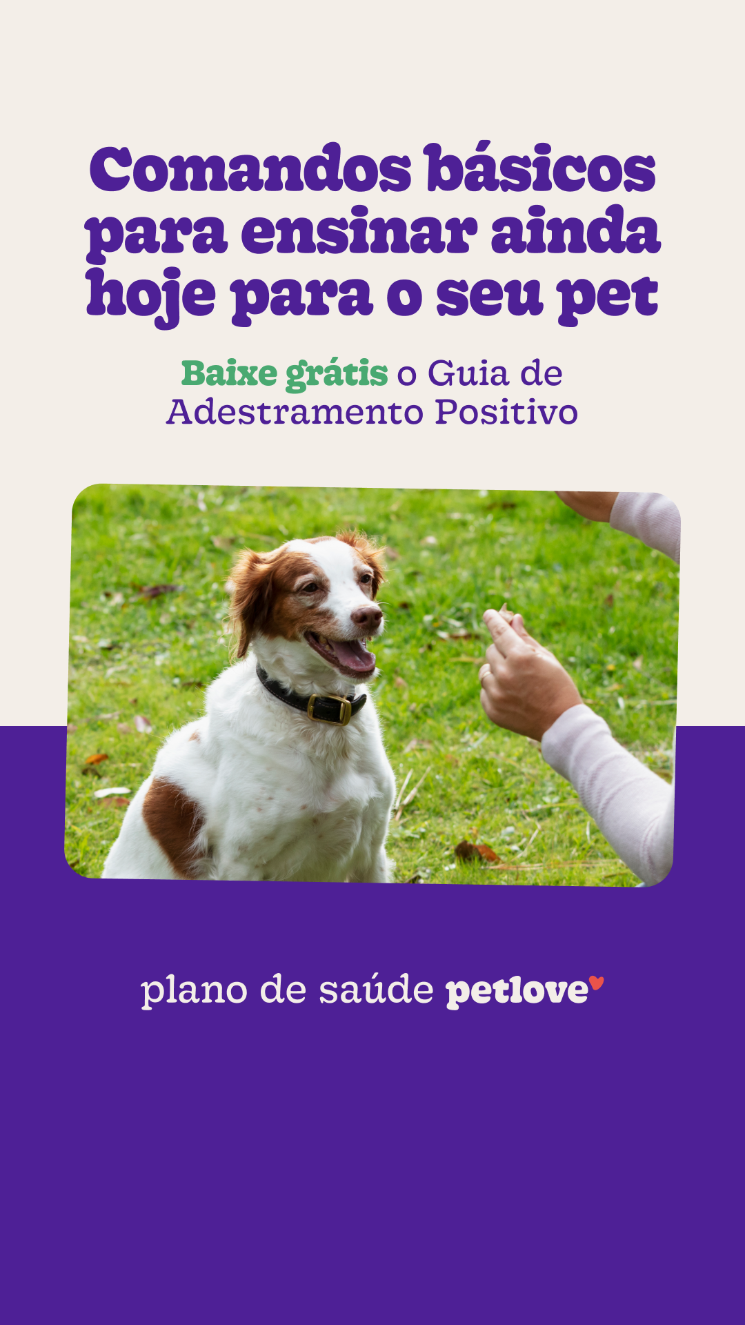 Petlove Facebook ad