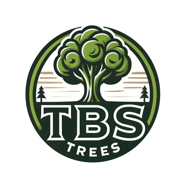 TB’S Trees Facebook ad
