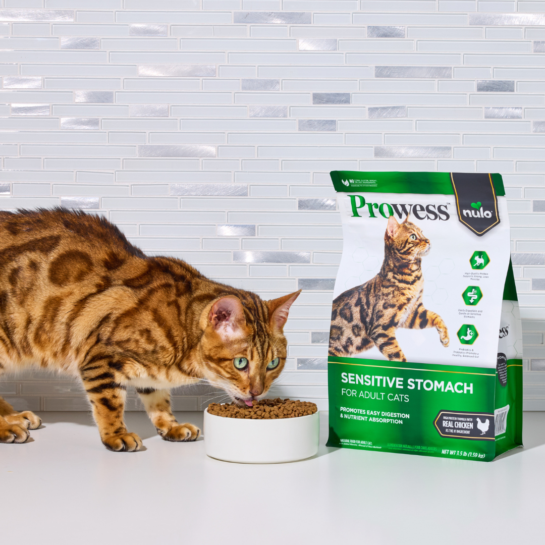 Nulo Pet Food Facebook ad: Raising The Bar In Science-Led Nutrition