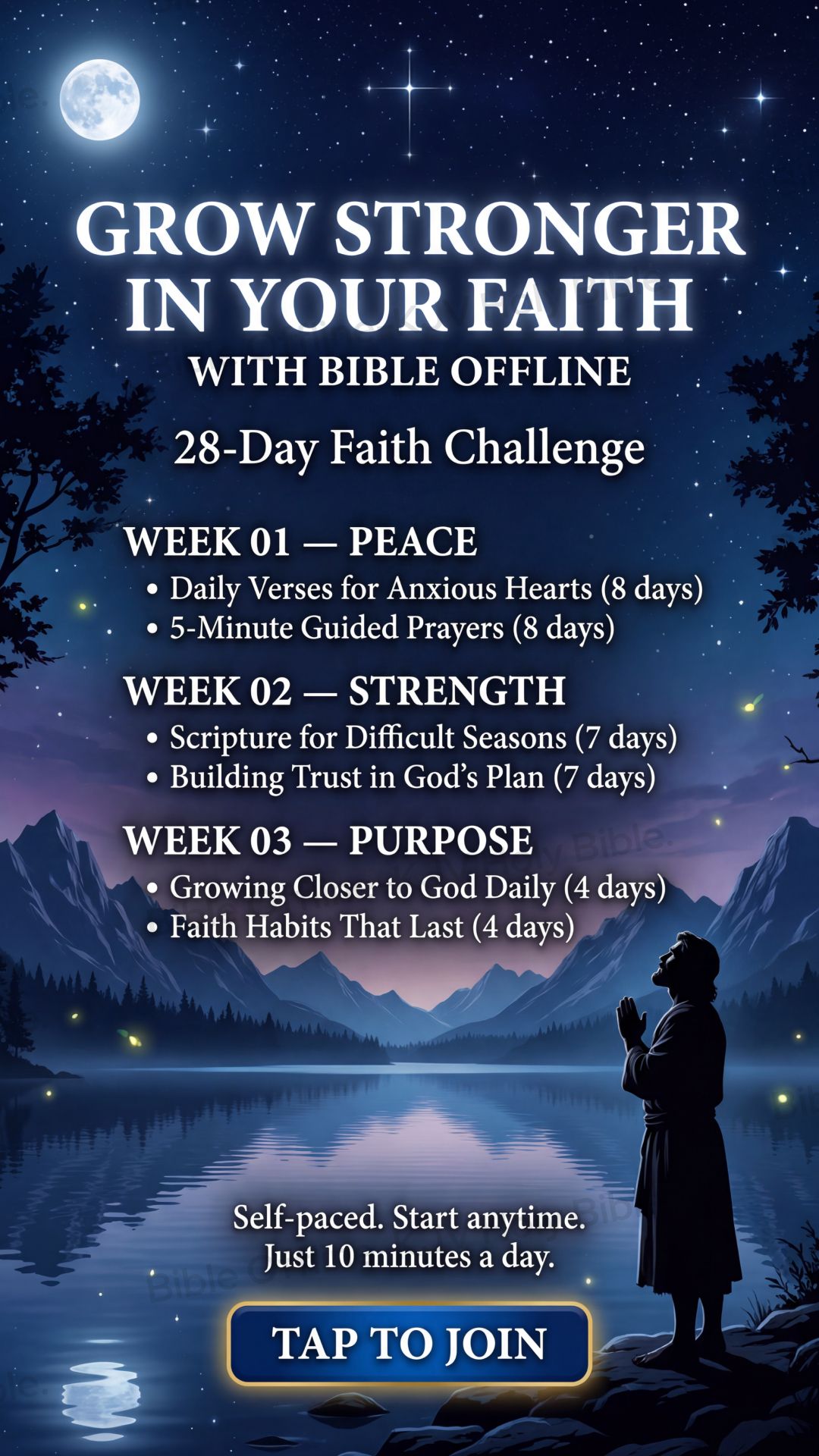 Bible Offline Facebook ad