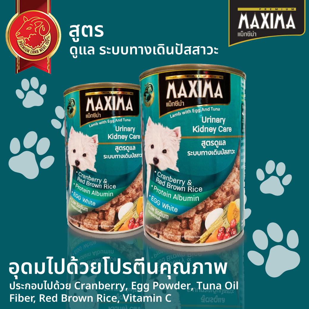 MAXIMA DOG & CAT FOOD Facebook ad: ผลิตภัณฑ์อาหารสำหรับสุนัขชนิดเปียก MAXIMA