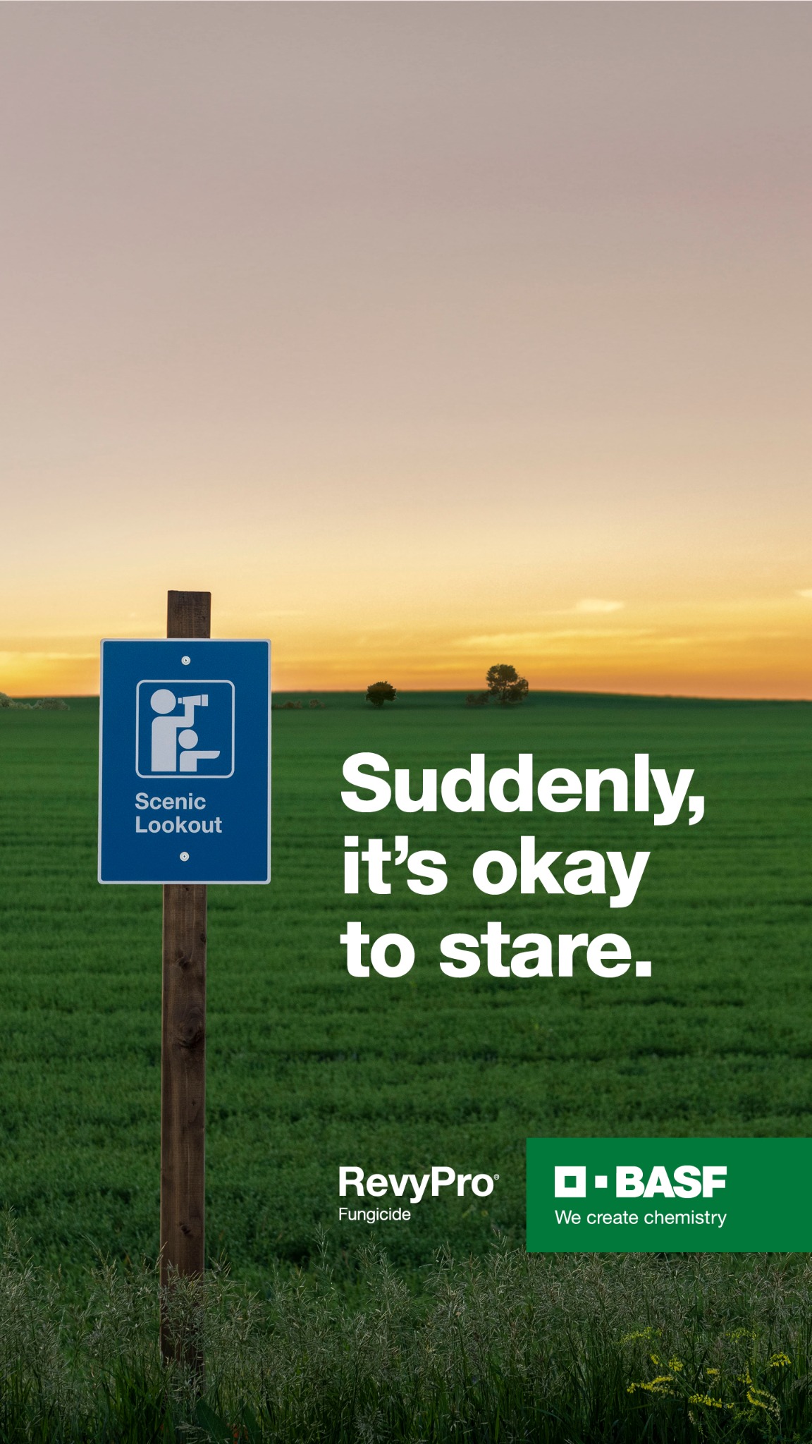 BASF Canada Agricultural Solutions Facebook ad