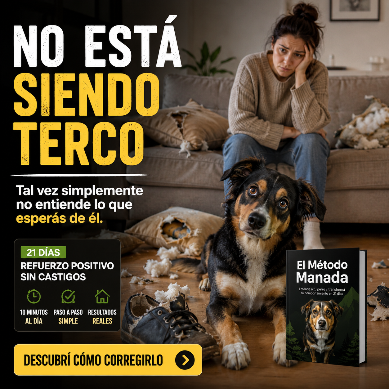 DigitalMente Facebook ad: No está siendo terco. Solo no te entiende.