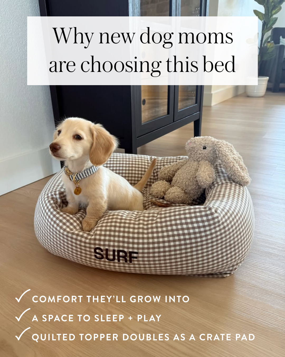 The Foggy Dog Facebook ad