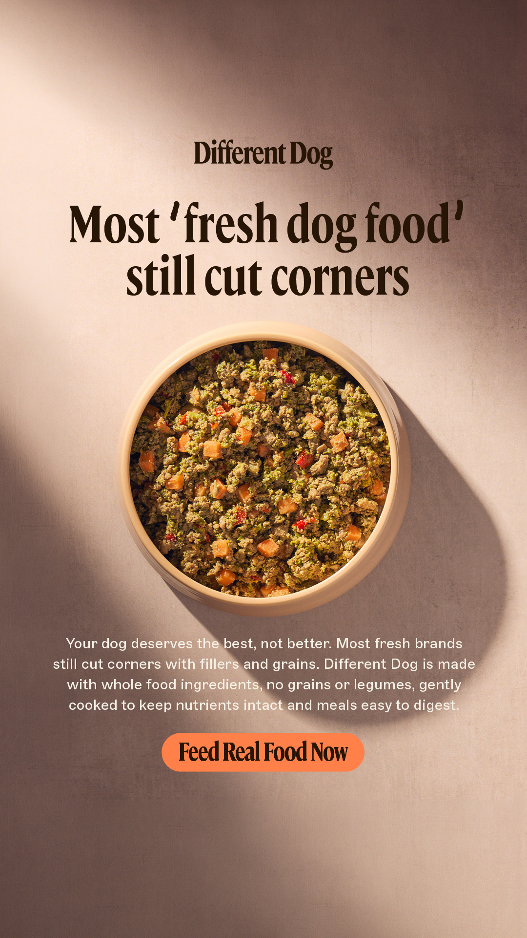 Different Dog Facebook ad