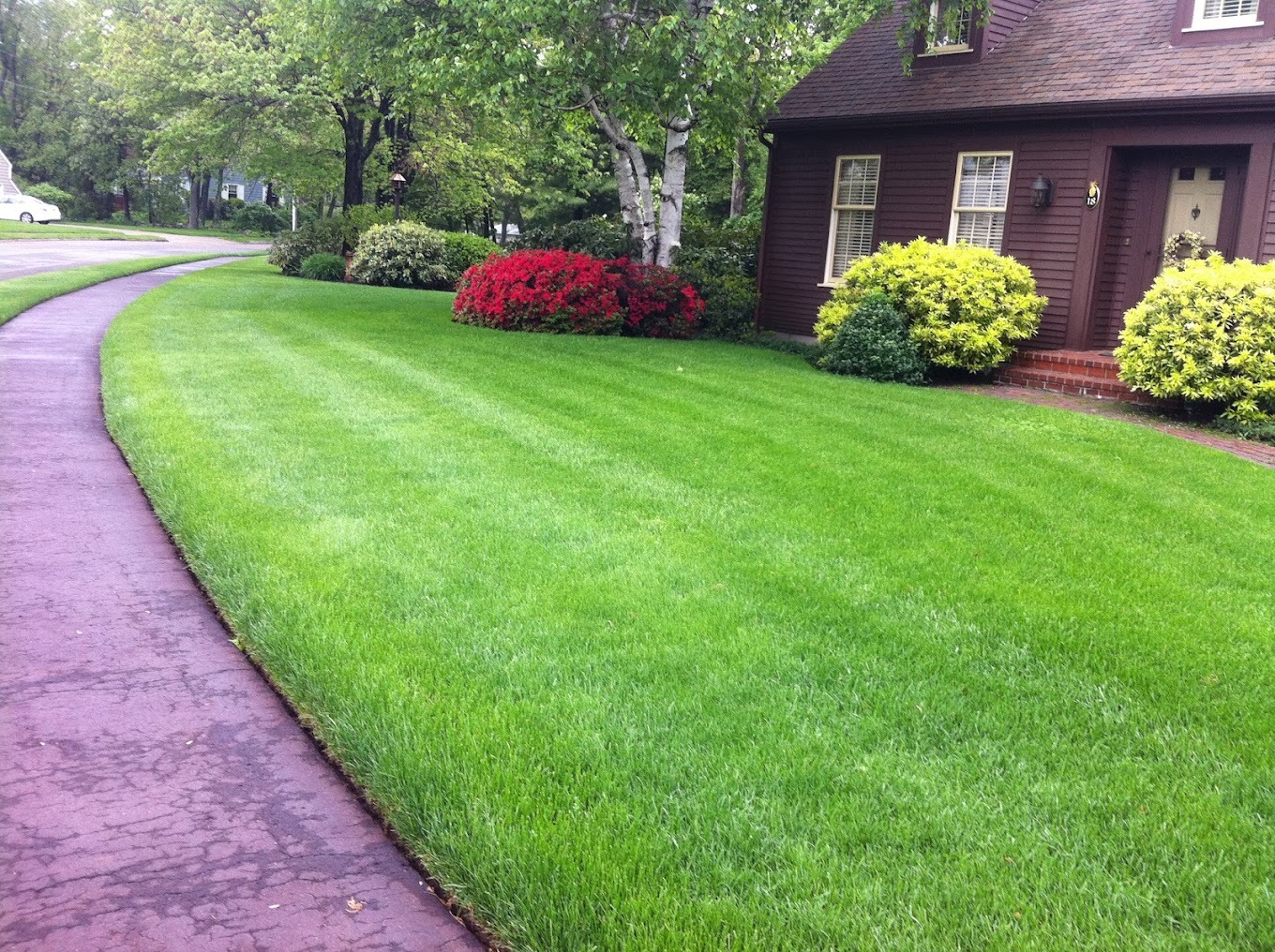 Rutland TurfCare and Pest Control Facebook ad