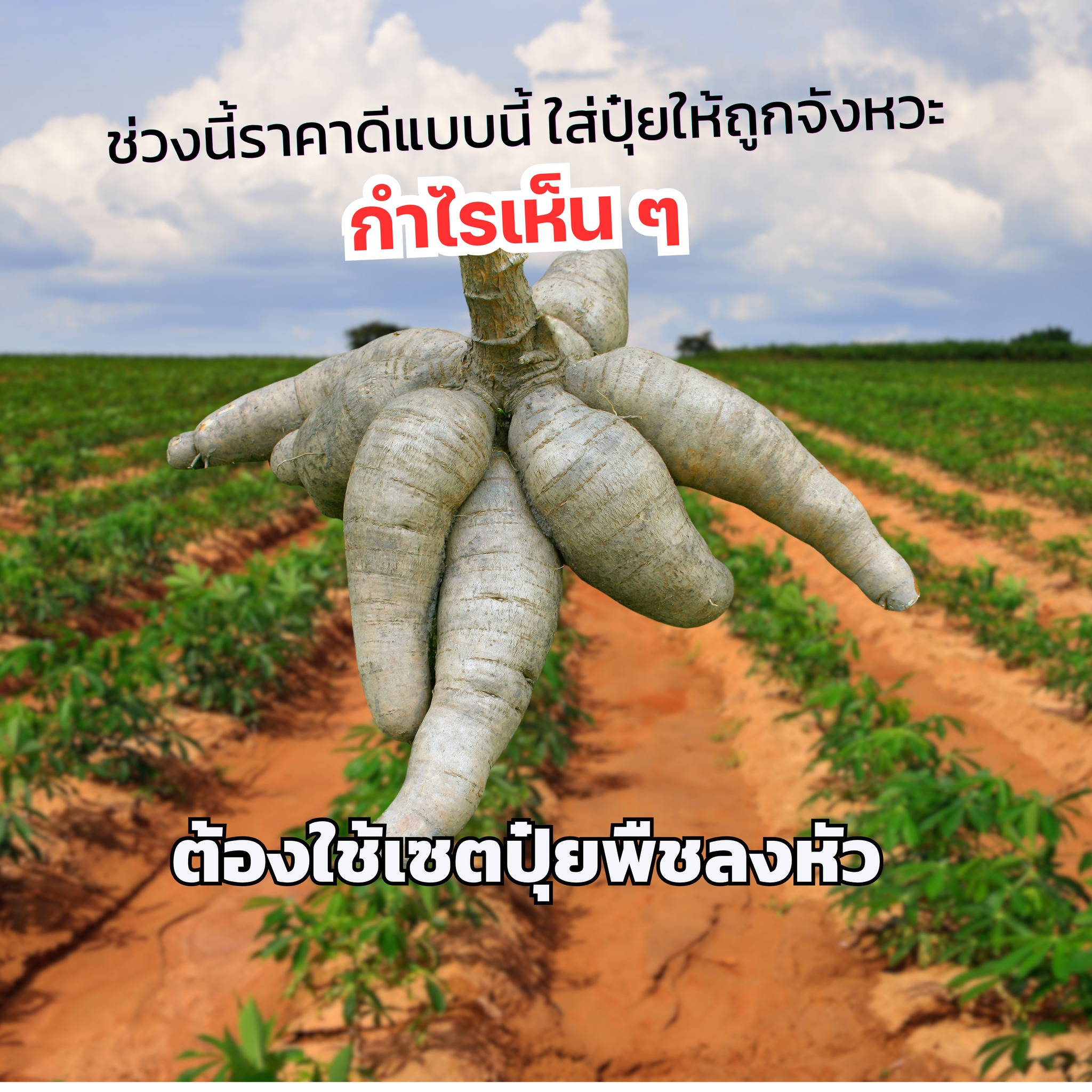 สวนโสภา Facebook ad