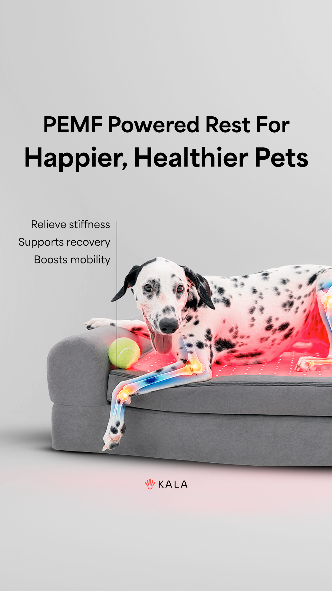 Buddie Pet Therapy Facebook ad