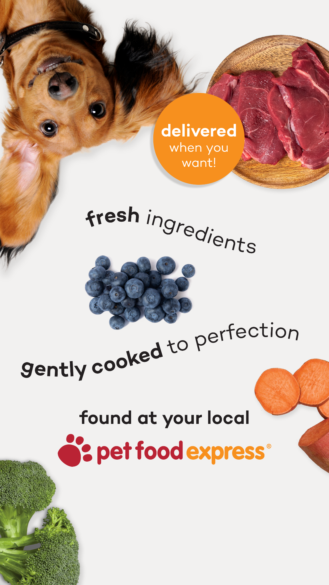 Pet Food Express Facebook ad