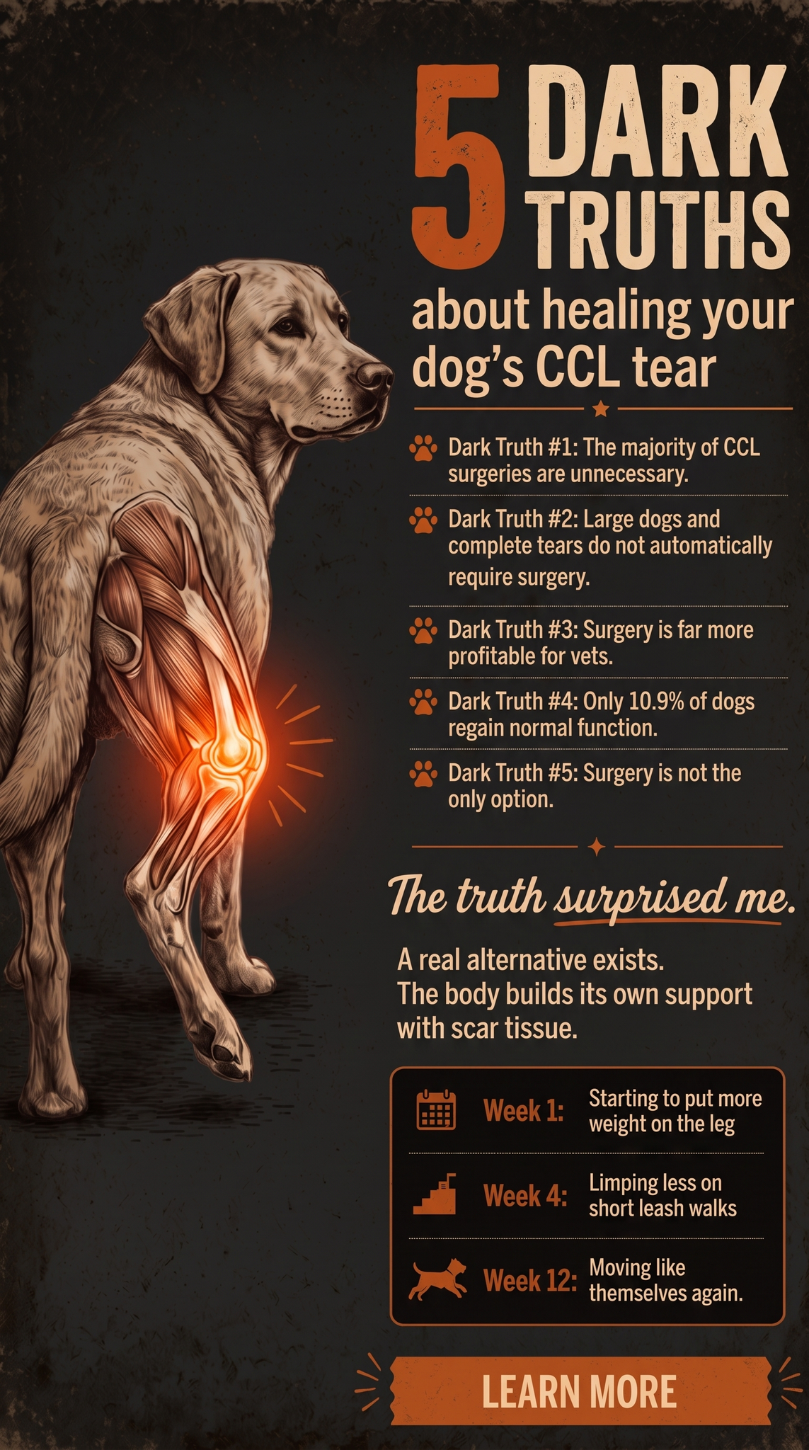 Dog Mom Diaries Facebook ad: The Dark Side of CCL Surgery Most Vets Don’t Mention