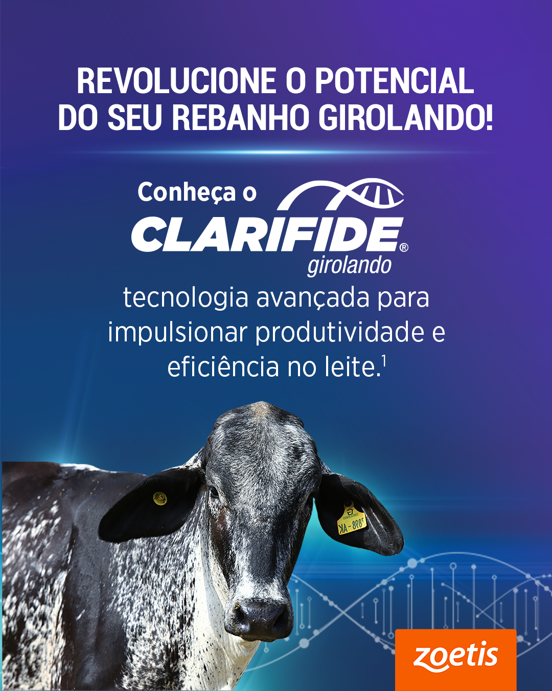 Zoetis Bovinos Equinos Brasil Facebook ad: Quer transformar seus resultados no leite?