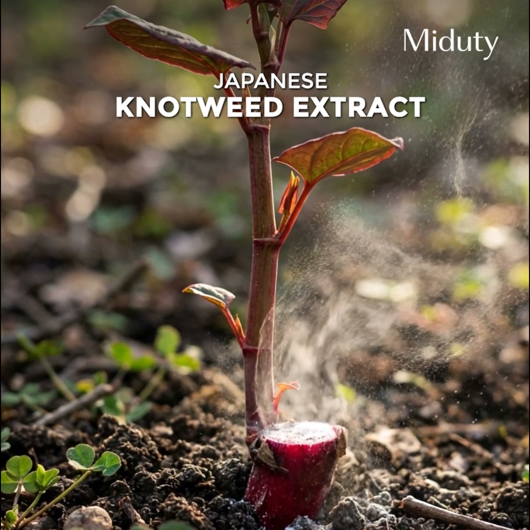 Miduty Facebook ad: 99% Trans-Resveratrol. 250 mg Per Serving.