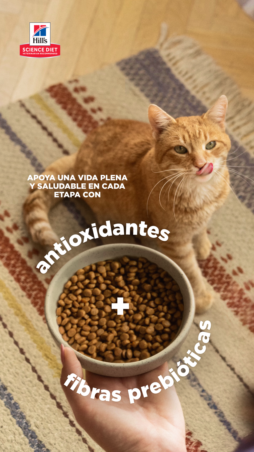 Hill's Pet Perú Facebook ad