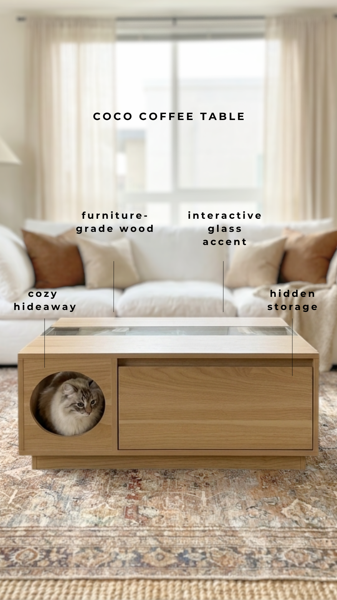 4 Cats & Dogs Home Furnishings Facebook ad