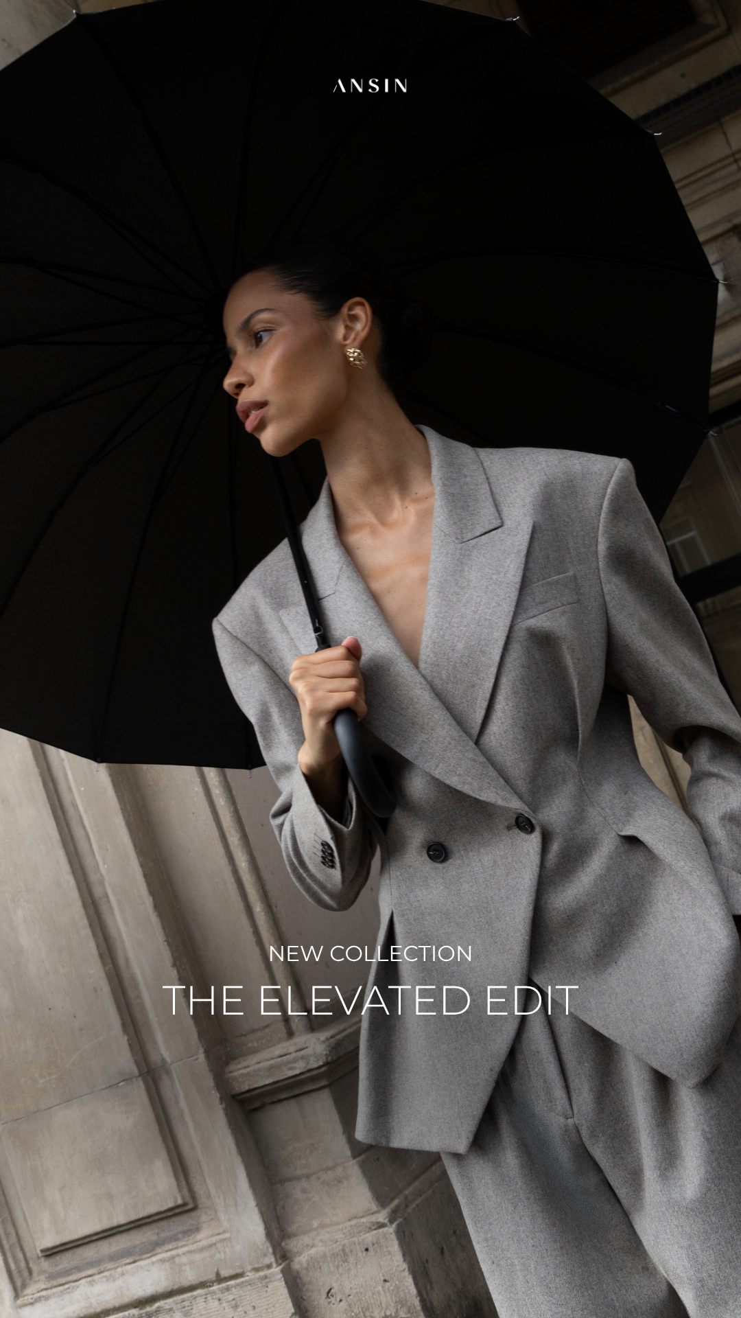 ANSIN Facebook ad: THE ELEVATED EDIT