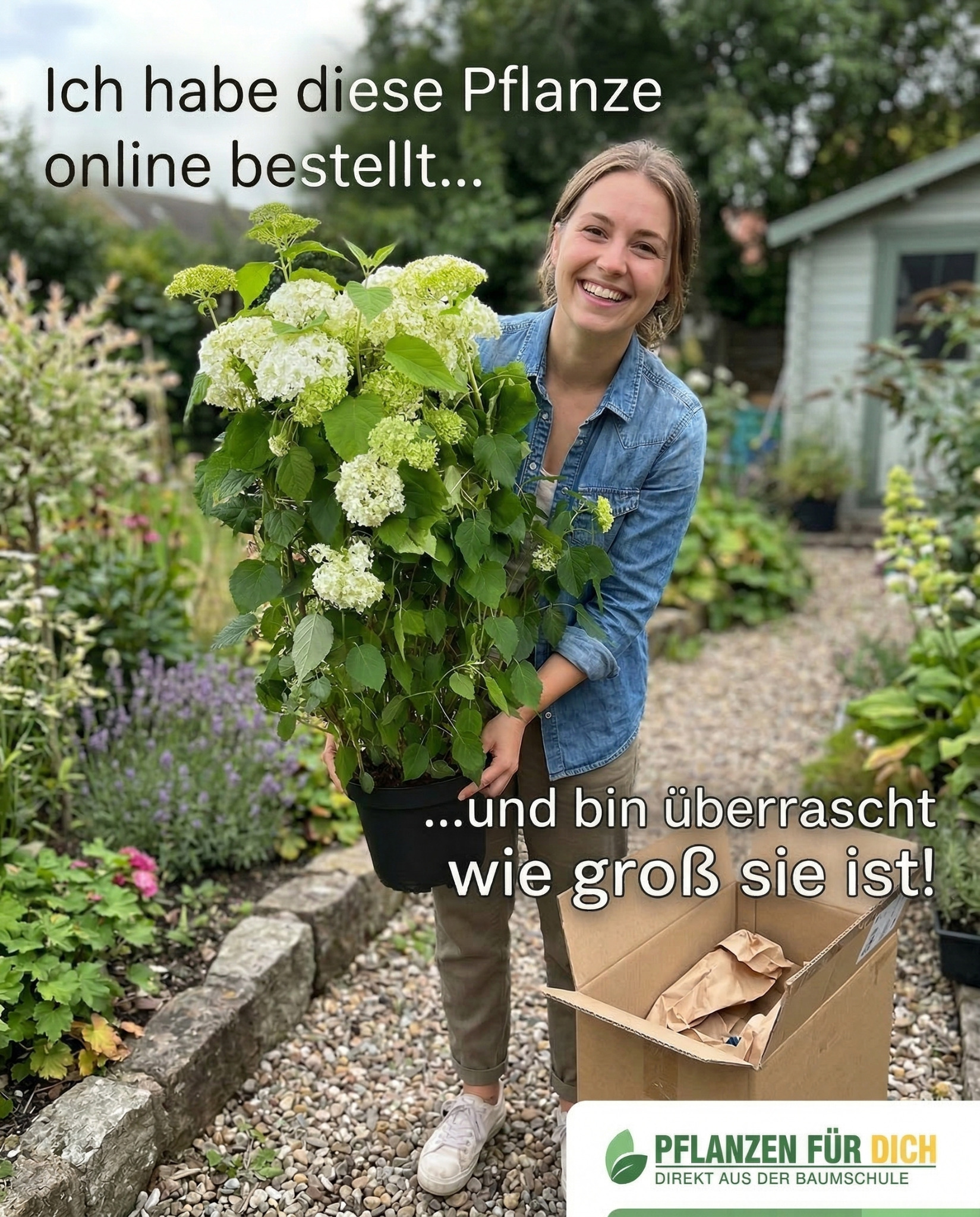 Pflanzen-für-dich.de Facebook ad