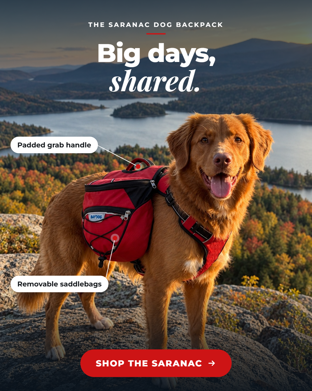 BAYDOG Facebook ad: A dog pack with dual purpose