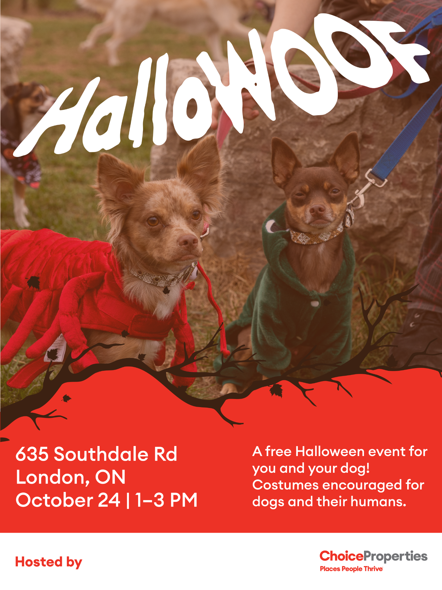 Choice Properties Facebook ad: Free Halloween Party for You & Your Dogs!