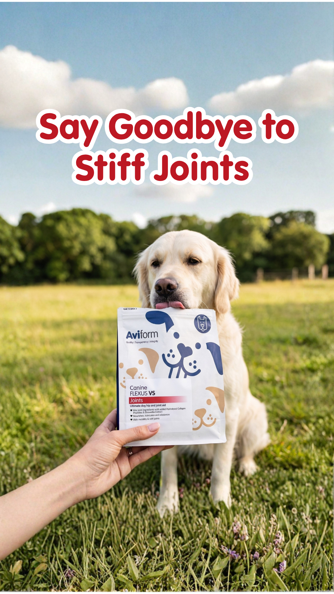Aviform Nutrition UK - Horse & Dog Facebook ad
