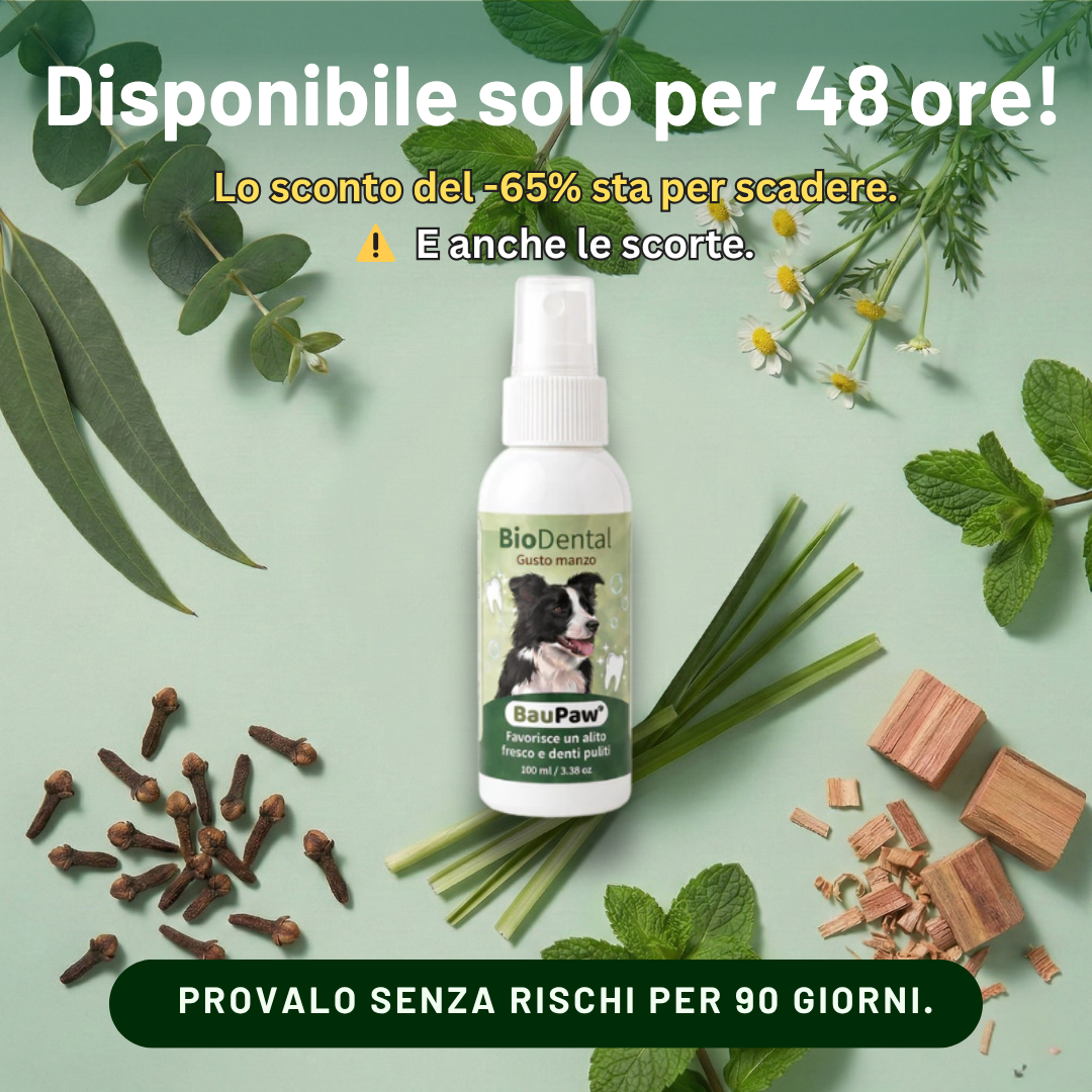 Amici a 4 Zampe Facebook ad: 5 secondi al giorno. Niente più detartrasi.