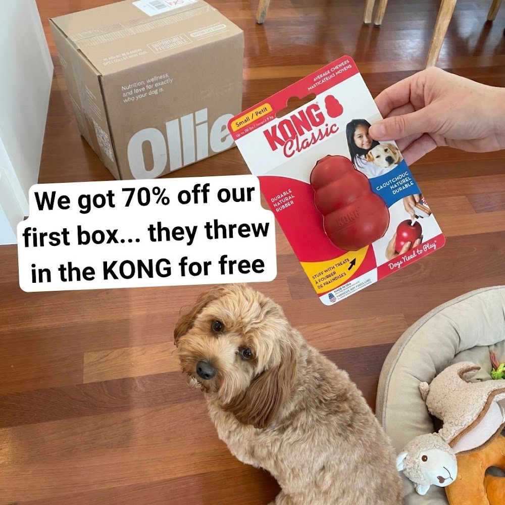 Abby Power Facebook ad