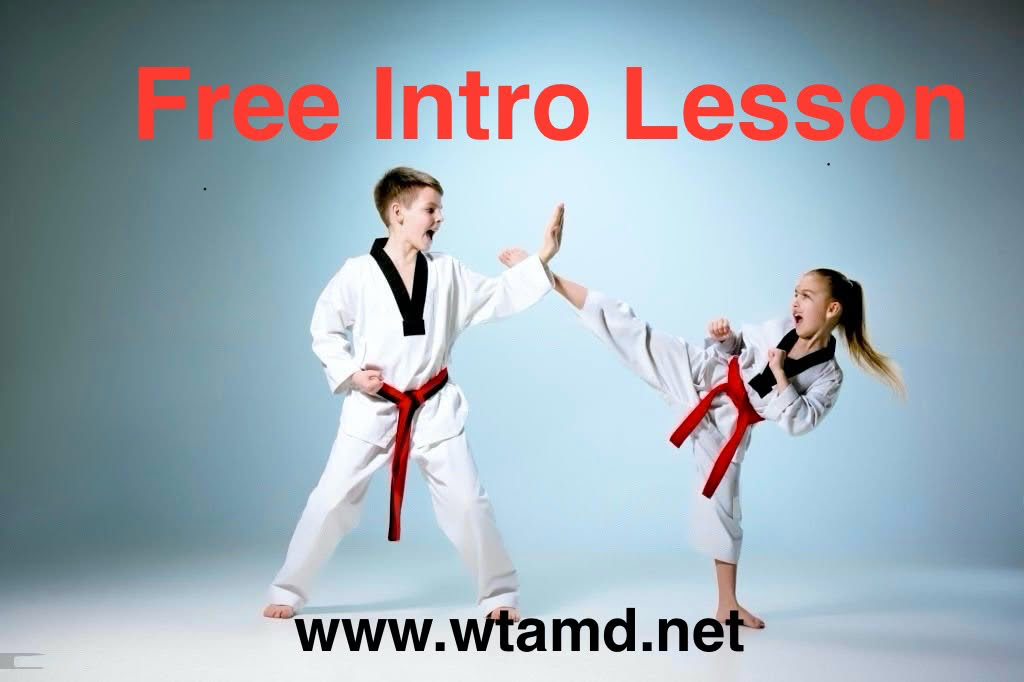 World Taekwondo Academy Olney Maryland Facebook ad: The Go-To Martial Art School in Olney, Maryland |…