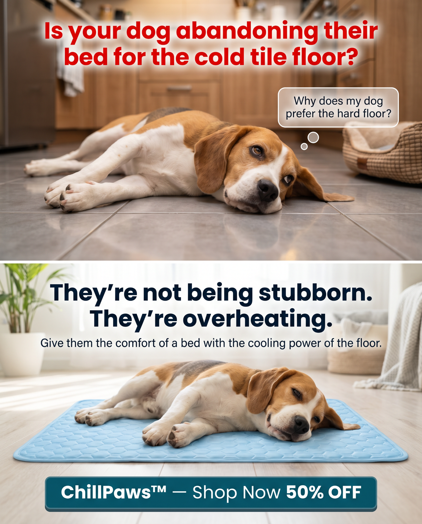Rhykin Pet Co Facebook ad