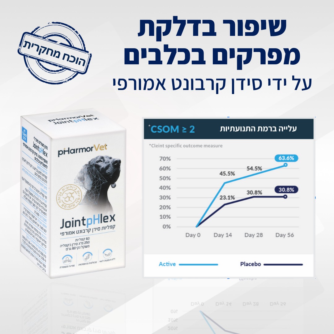 PHarmorvet Facebook ad: איך לטפל בכלבים עם דלקת פרקים?
