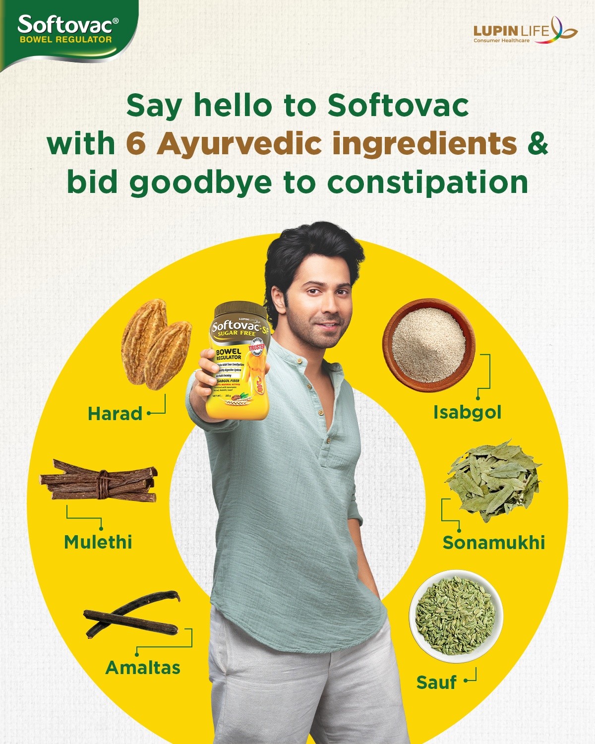 Softovac Facebook ad