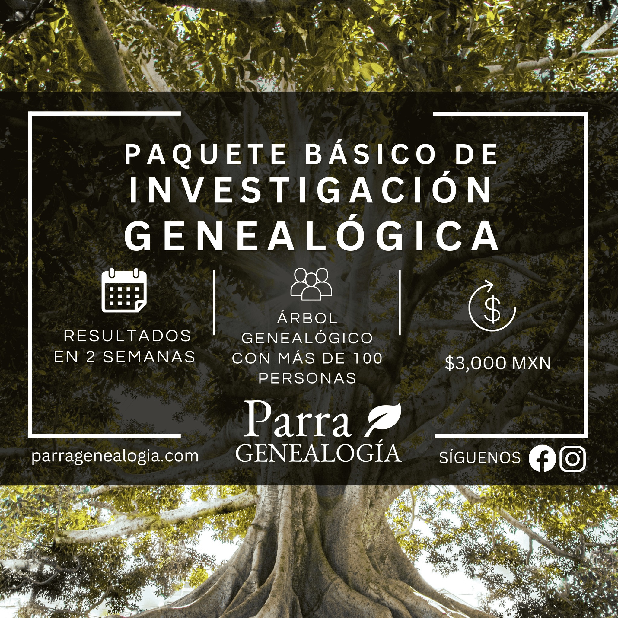 Parra Genealogía Facebook ad: Paquete básico de investigación genealógica.