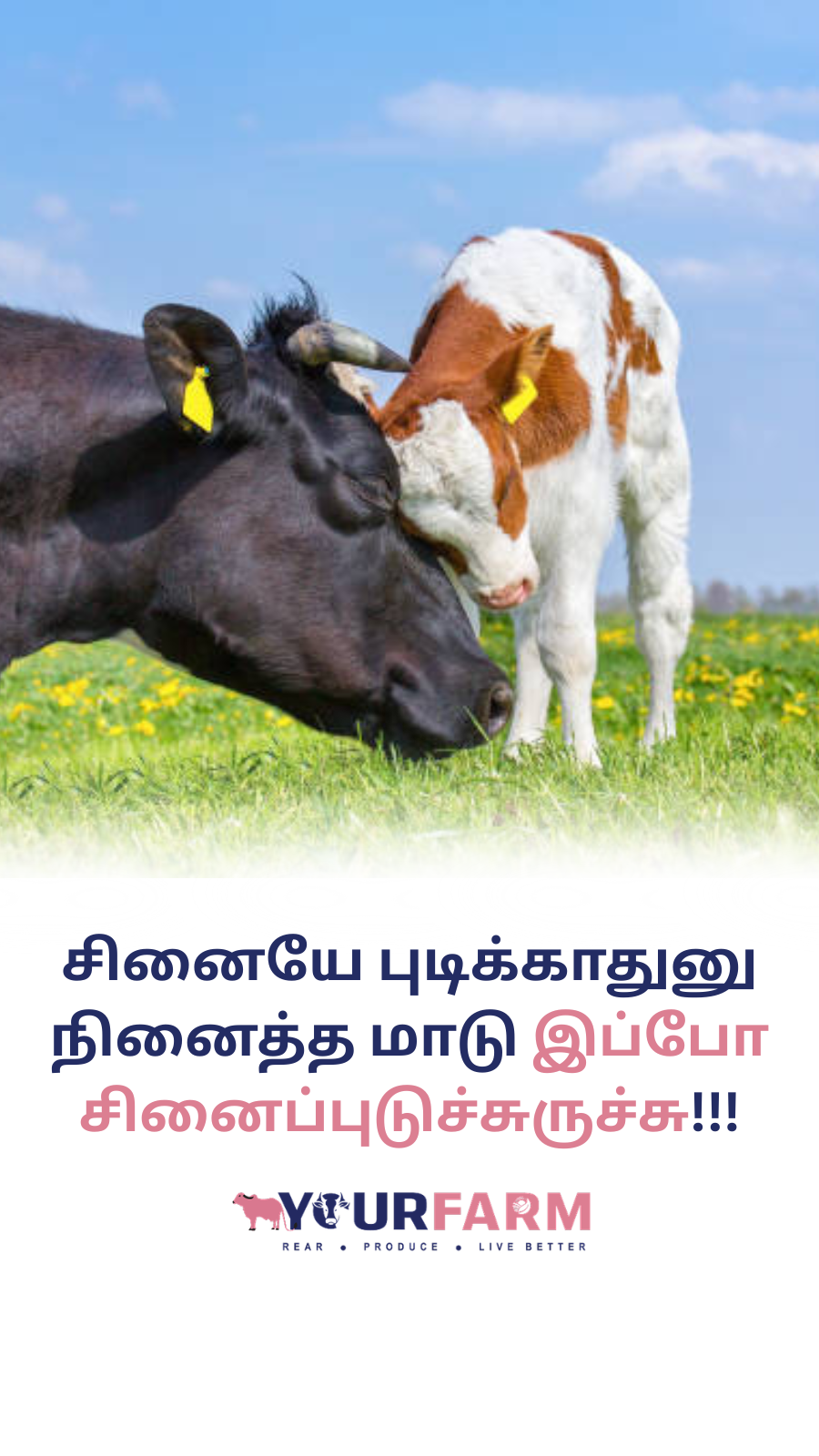 YourFarm AgriTech Facebook ad