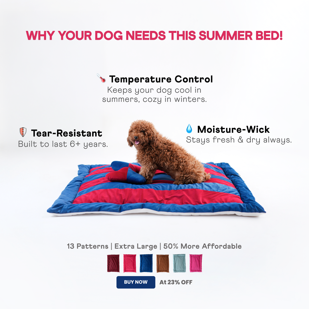 Barks & Wags Facebook ad