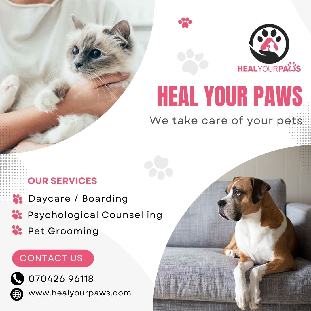 Healyourpaws Facebook ad