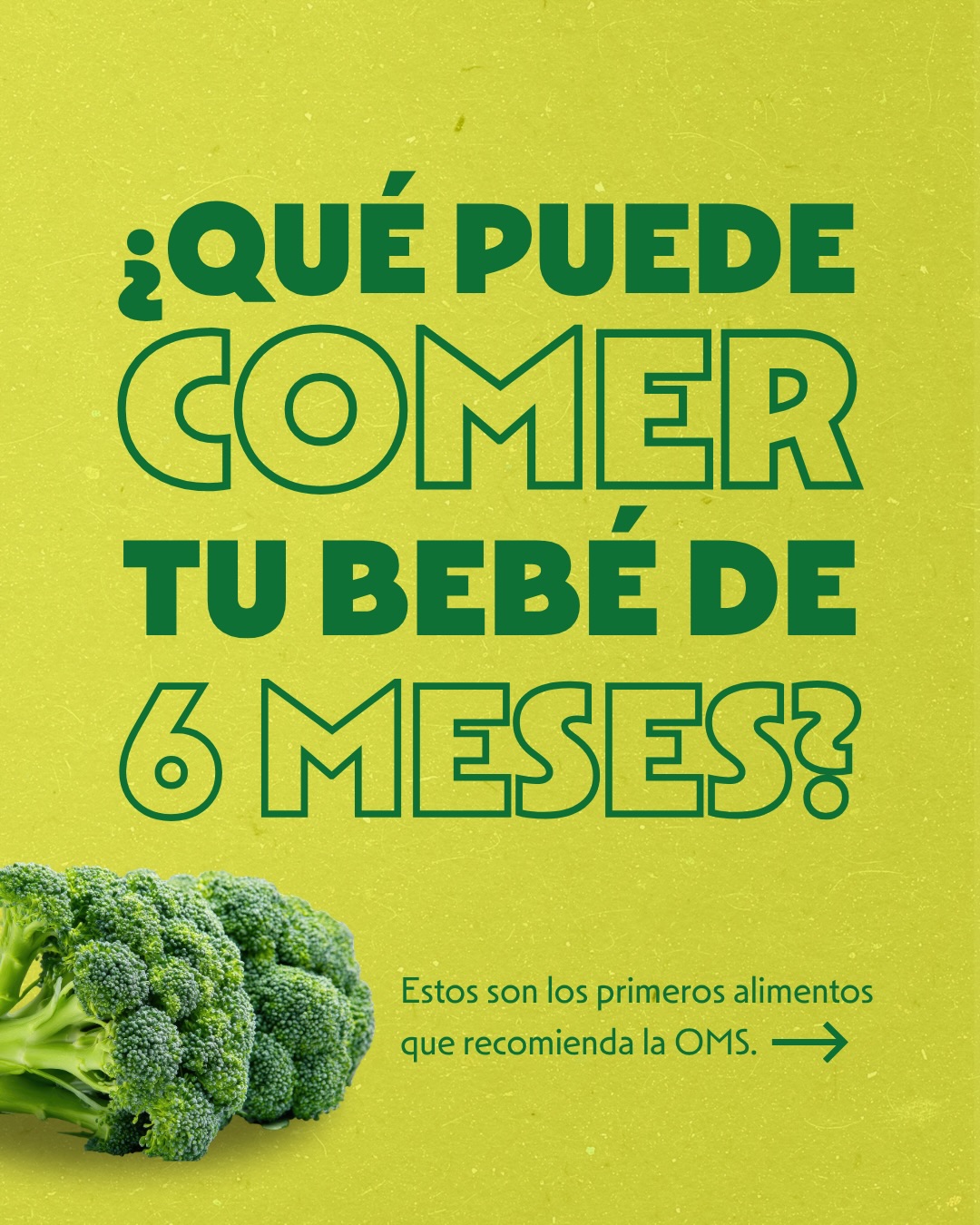 Hero Baby España Facebook ad: Alimentación complementaria a los 6 meses: todo lo…