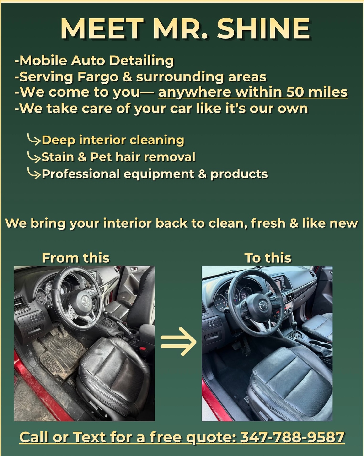 Mr. Shine auto detailing Facebook ad: The interior your car deserves.
