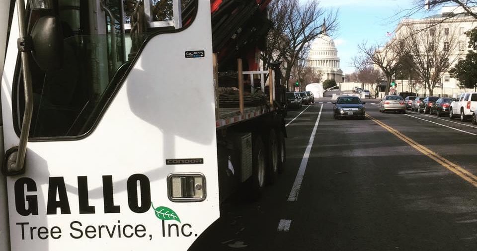 Gallo Tree Service, Inc. Facebook ad