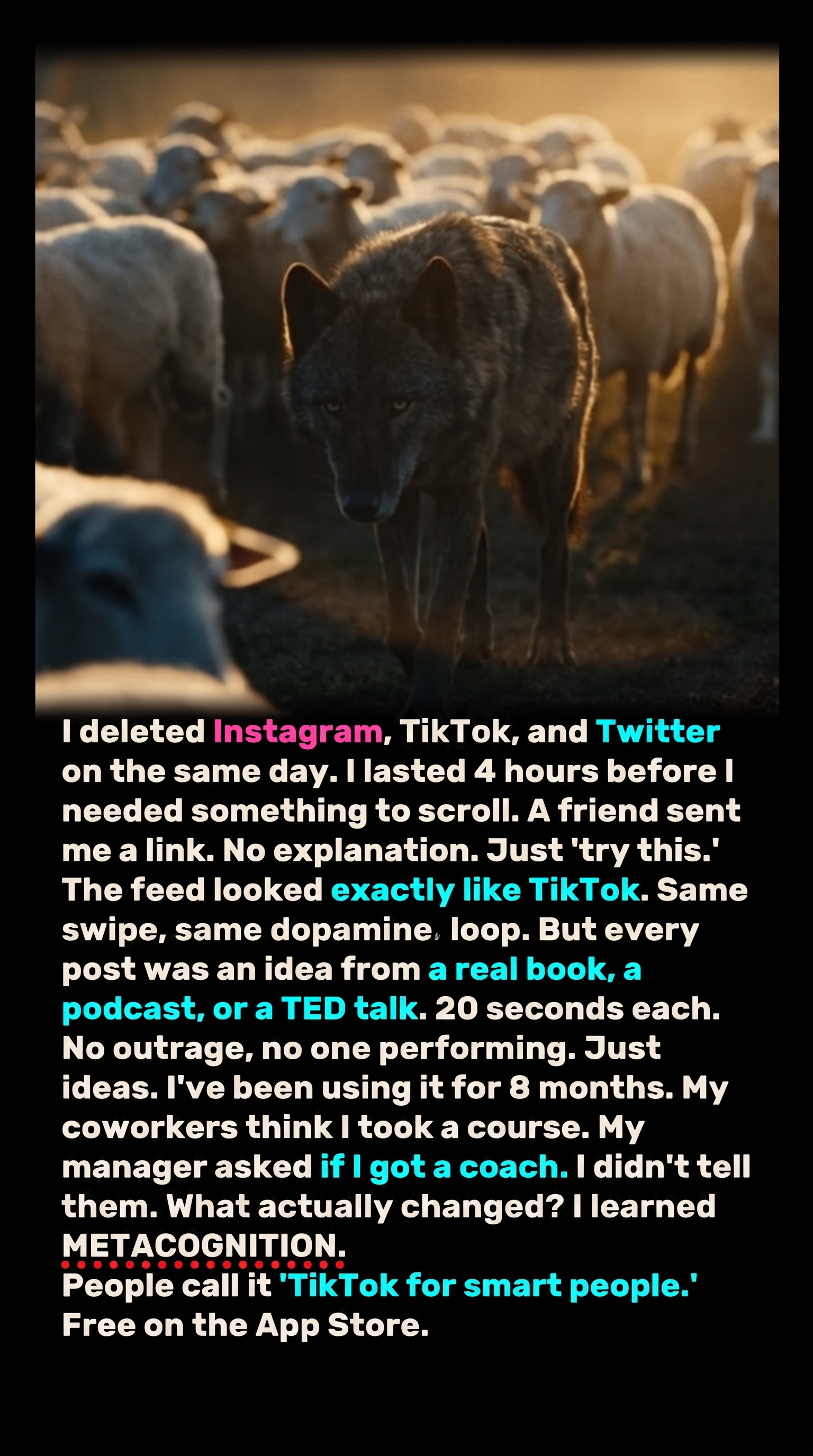 Deepstash Facebook ad