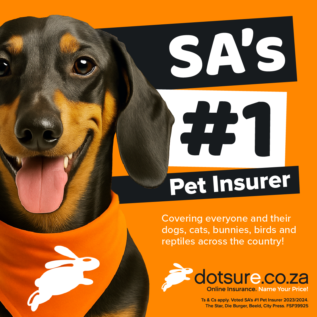 dotsure.co.za Pet Insurance Facebook ad: Don’t settle for second best.