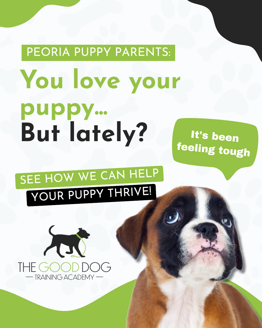 The Good Dog Training Academy Facebook ad: Peoria Puppy Training