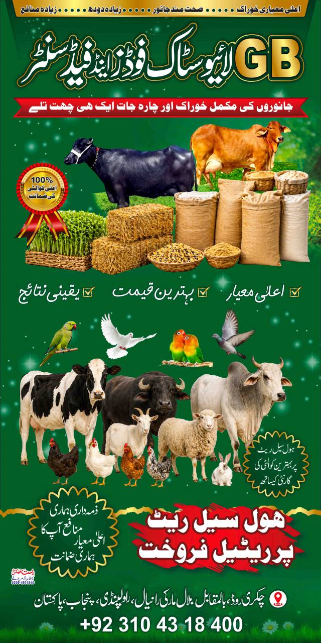GB Live Stock Feed & Fodder Facebook ad