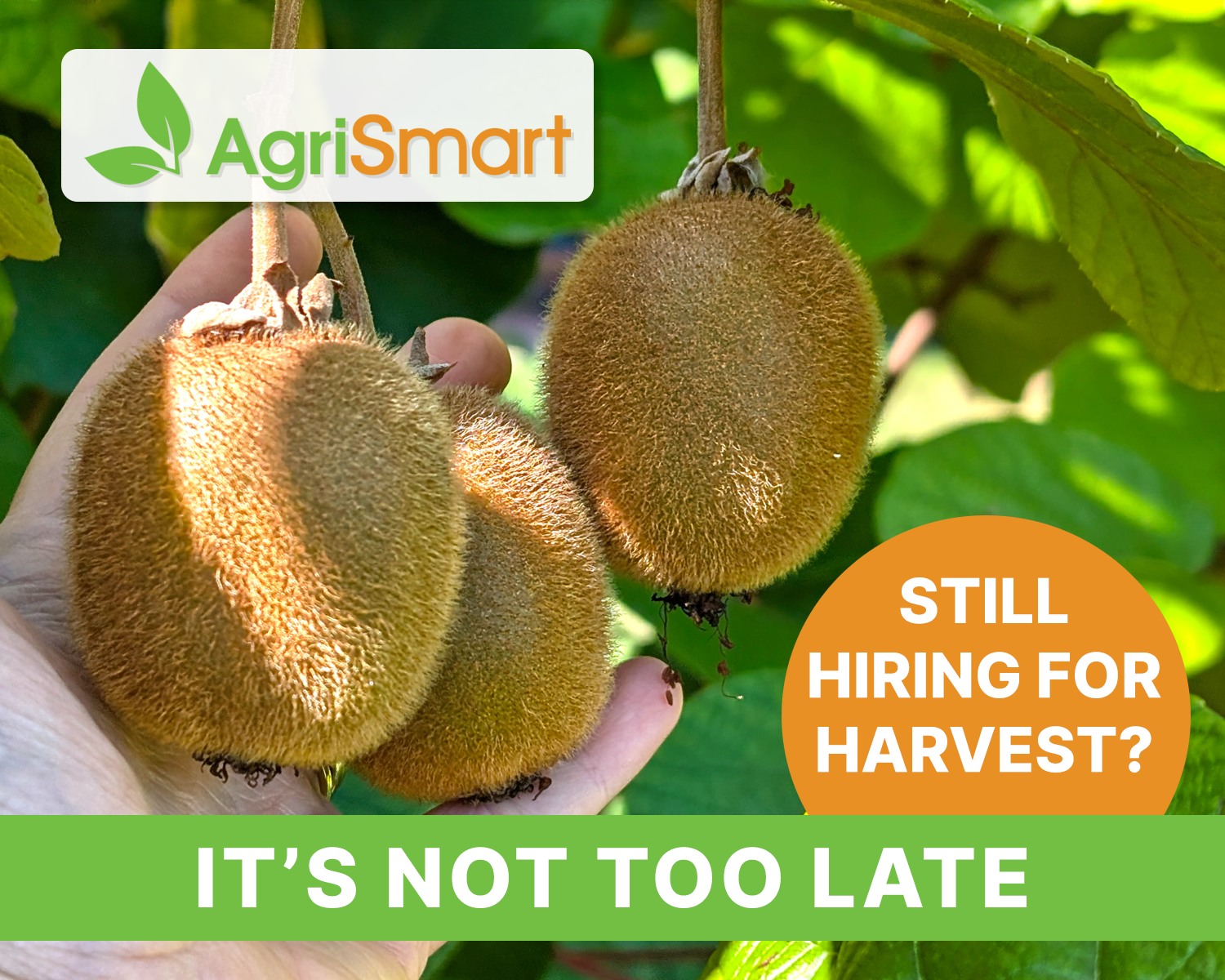 AgriSmart Facebook ad: Beyond Payroll - The Smart Workforce Engine for Agriculture