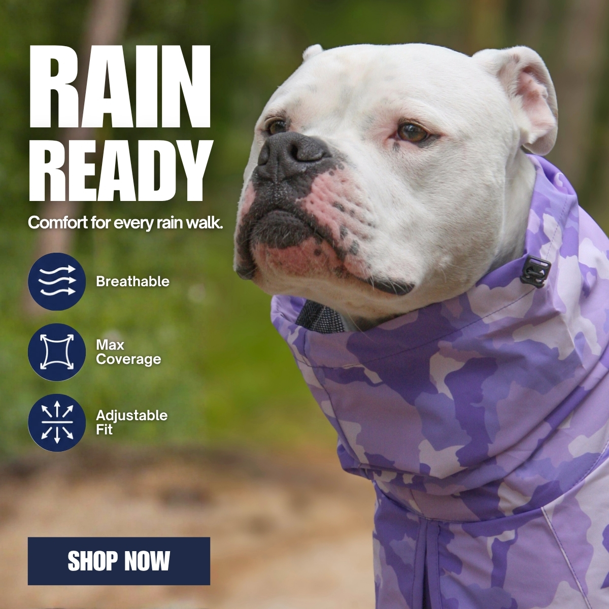 Spark Paws Facebook ad
