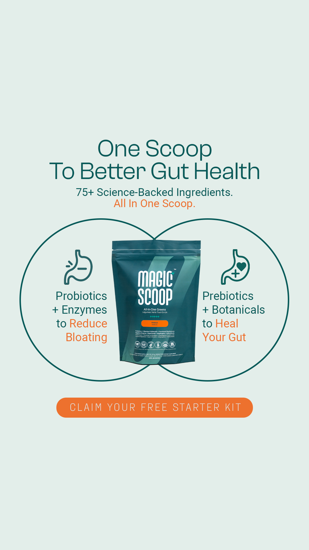 Magic Scoop Facebook ad