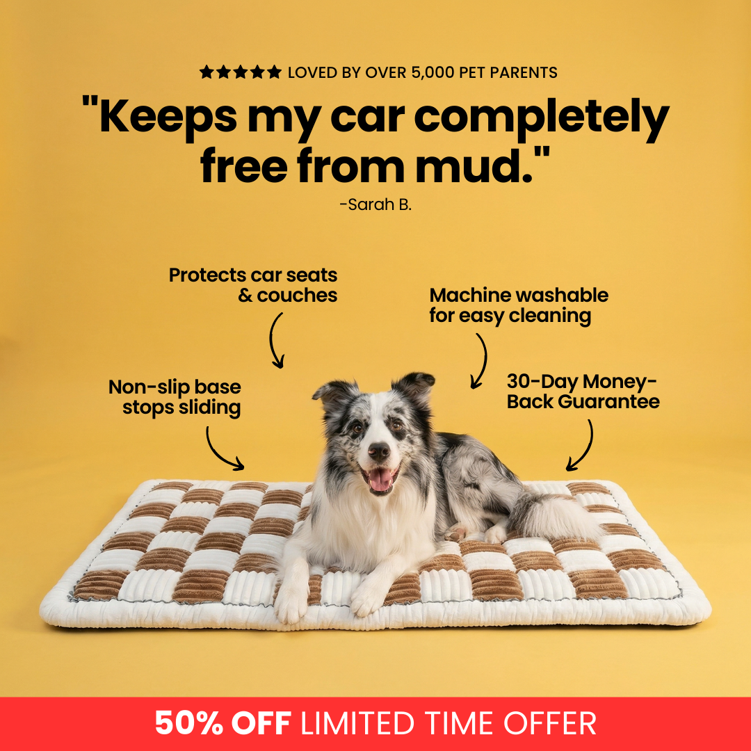 ComfyDawg Facebook ad: 50% OFF Best-Selling Travel Cushion