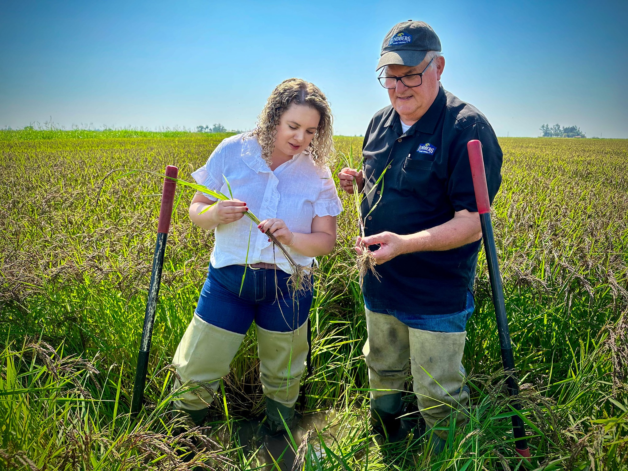 Lundberg Family Farms Facebook ad