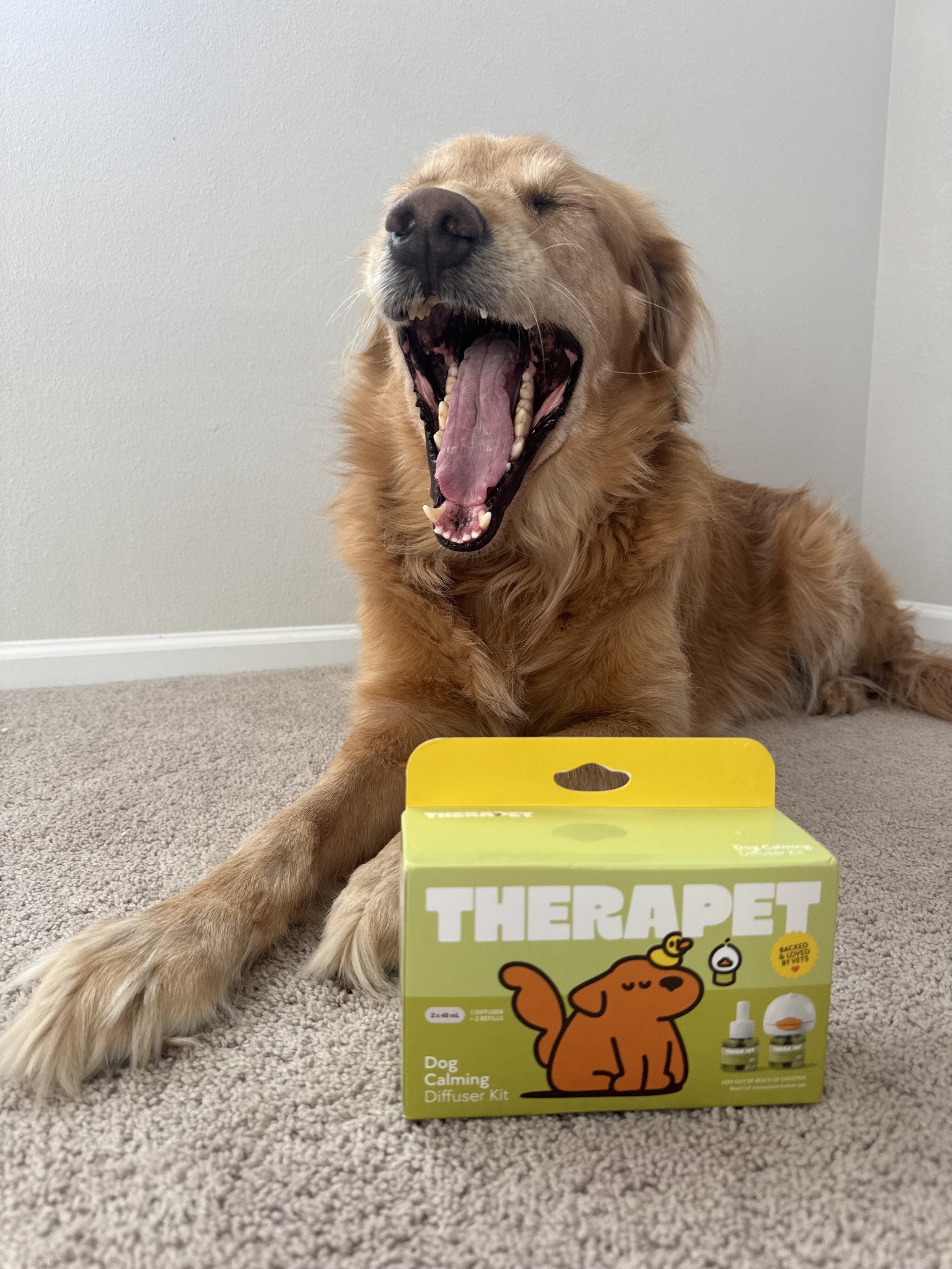 TheraPet Facebook ad
